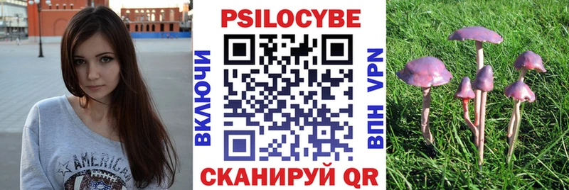 Галлюциногенные грибы Magic Shrooms  Юхнов 